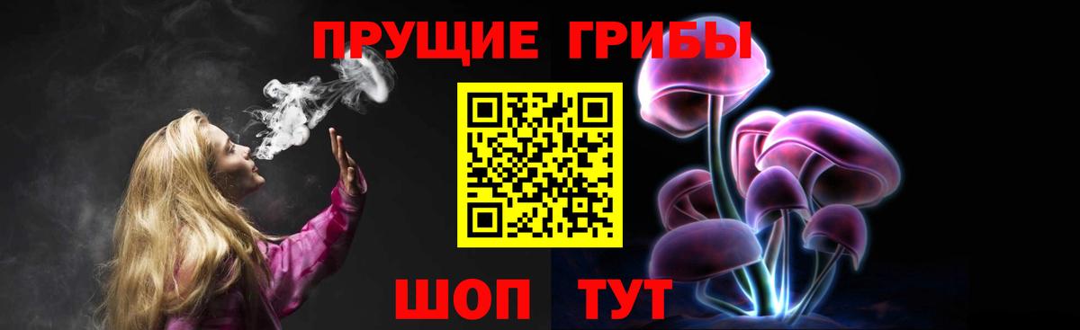Галлюциногенные грибы Psilocybine cubensis Тара